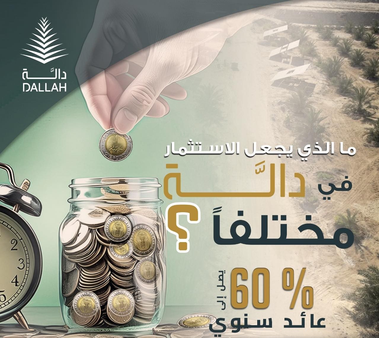 ليه الاستثمار في “دالة” هو فرصتك الذهبية؟